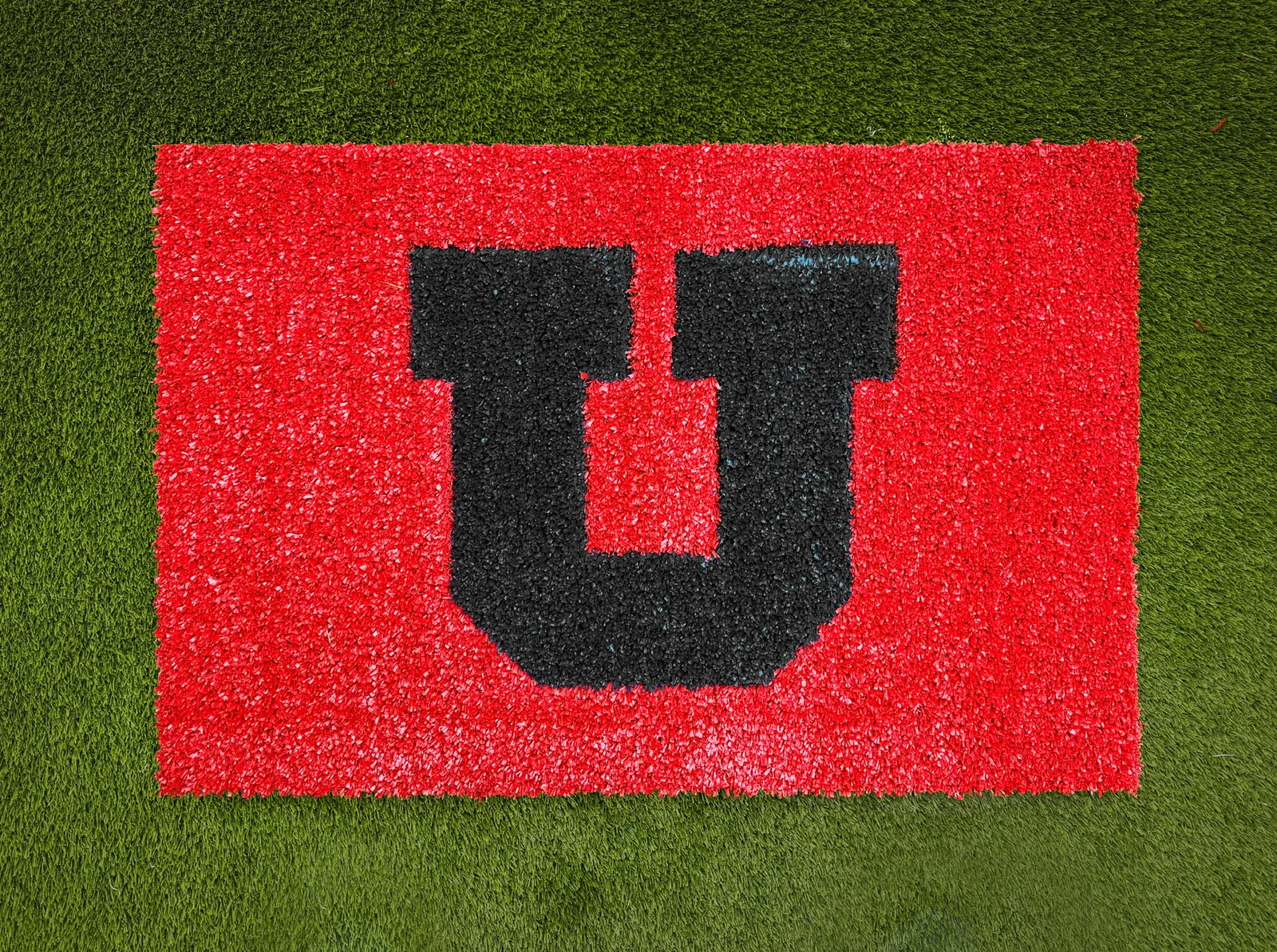 U of U turf doormat variation 3